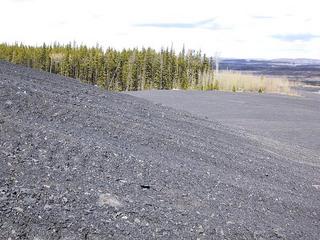 #1: View north from the confluence site on a pile of coaly shale