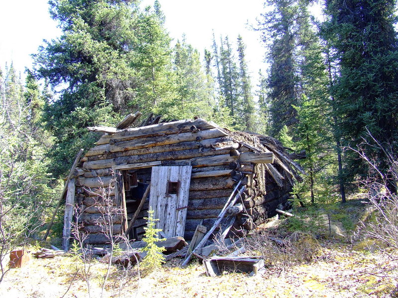 ancient decayed cabin 2km from confluence point