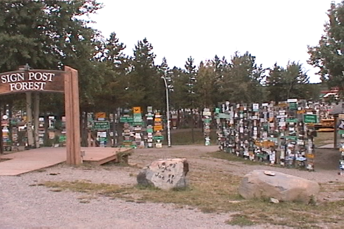 part of the Sign Post Forest