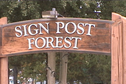 #2: Sign Post Forest