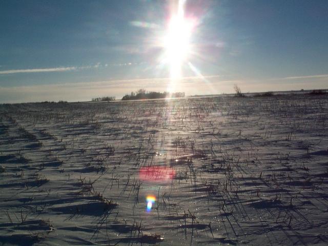 Sun reflecting on stubble field near confluence