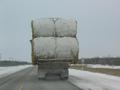 #5: Truck Full of Frosted Shreddies heading North on Manitoba Highway 6