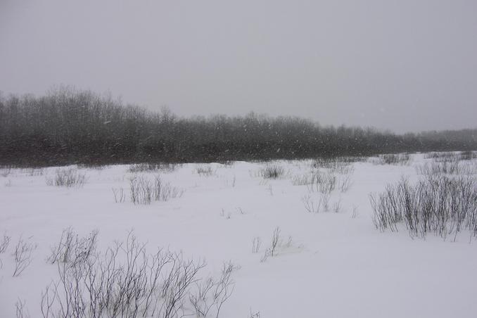 General surroundings of the site 51N 98W, it's snowing