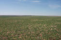 #3: Looking northwest showing the Hutterite Colony in the center.
