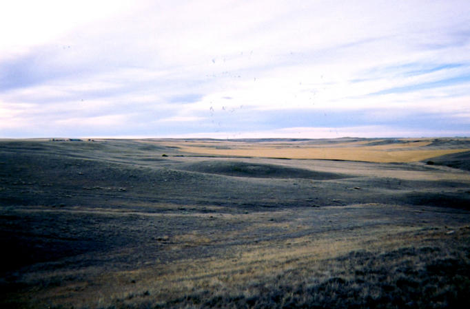 Grain fields to the south-east