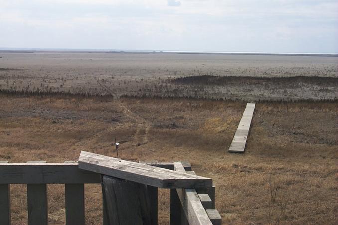 The VERY dry Wadena "Wetlands" as seen from the viewing stand.  The white line on the horizon is the ice on Little Quill Lake.