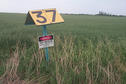 #9: Marker for the natural gas pipeline passing through the field where the confluence lies.