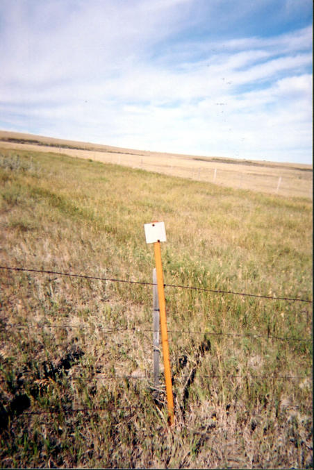 Survey marker near confluence