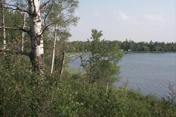 The southeast part of the lake.