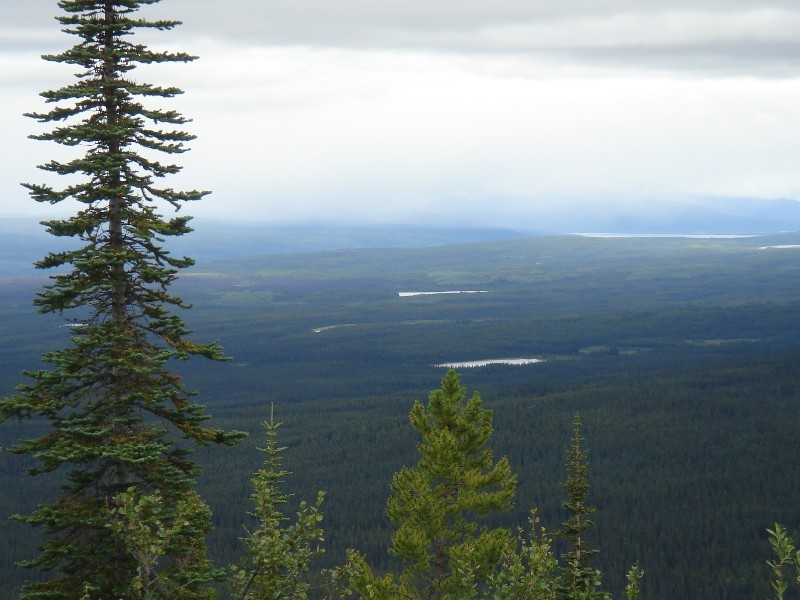 Frances Lake in Background