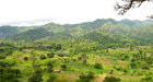 #4: Landscape of the transition between the high plateau and the rift valley