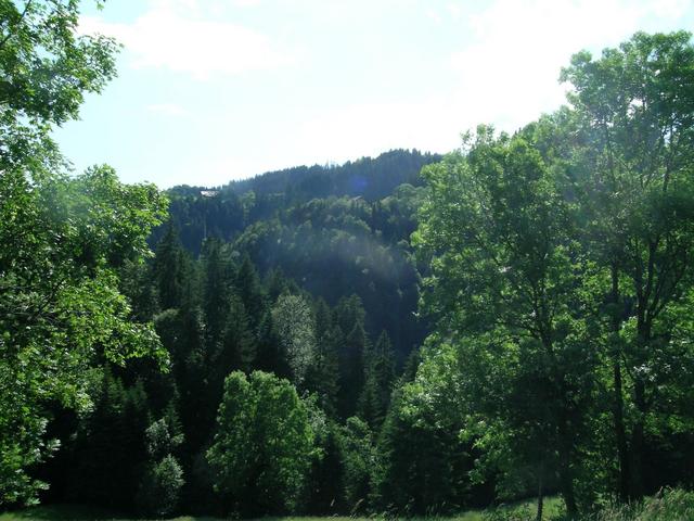 View to the west, across the gorge towards the village Oberer Länggrat