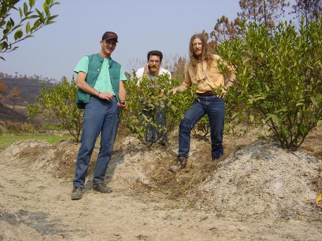 Richard, Tony and Targ (left to right) at the confluence in the mandarin grove