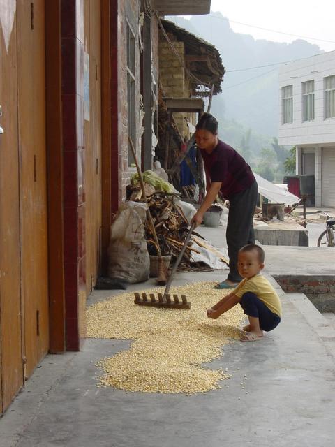 Woman spreading corn out to dry while her son looks on