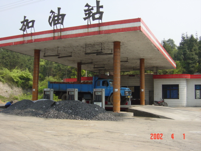 Petrol station with pine forest behind