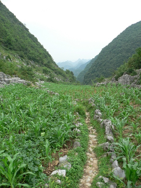 Path through the hills towards the confluence.