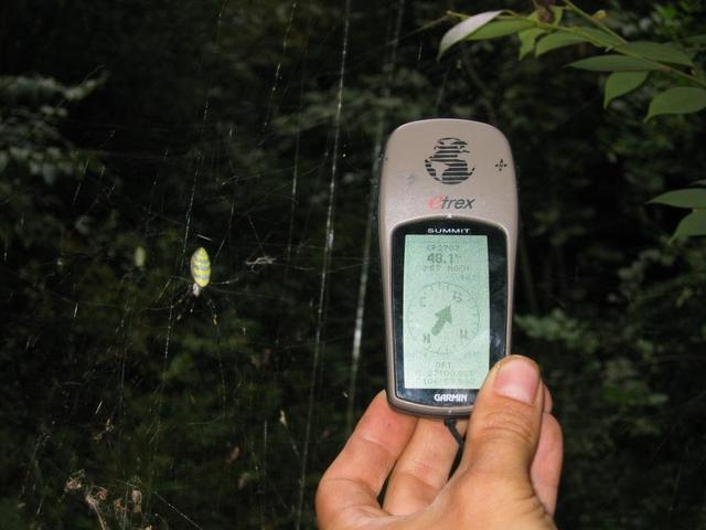 GPS Reading and Spiders