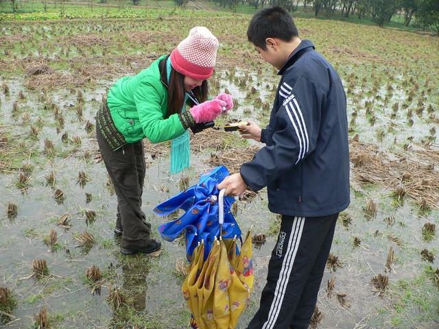 Liu Zifeng (left) and Xu Hui balancing on tufts of rice stalks in the flooded paddy in order to get all the zeroes