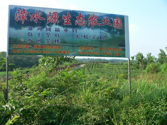 Advertising hoarding and tea plantation near Zhanghe Reservoir.