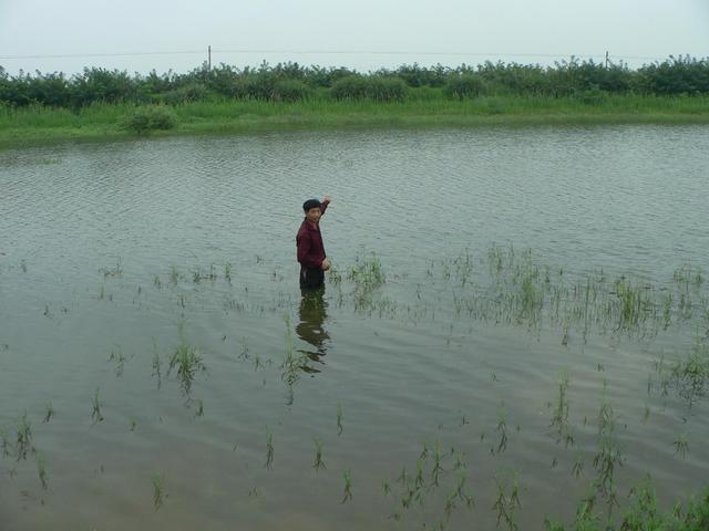Looking north; Hu Lunwu points to approximate location of confluence.