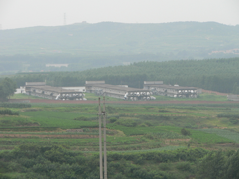 Factory to the west of the confluence, near the main road
