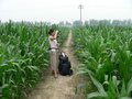 #5: Ah Feng in the confluence cornfield