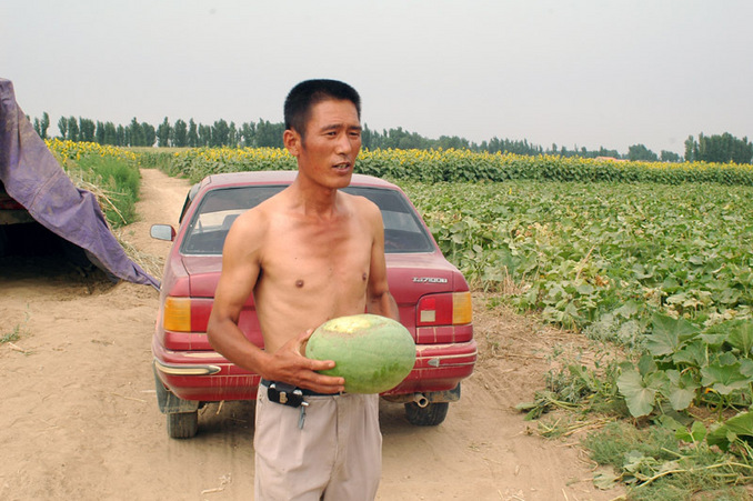 路过瓜地，瓜农送西瓜给我们吃 / Passing through the melon field and we were treated to a watermelon