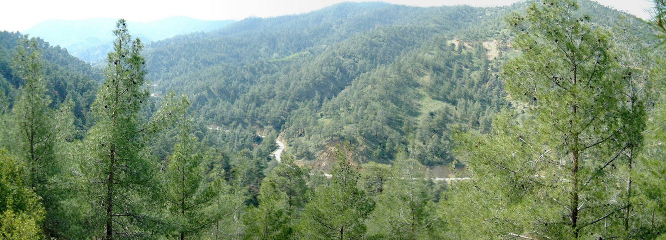 View of the road to Kannavia about 175 metres from the confluence