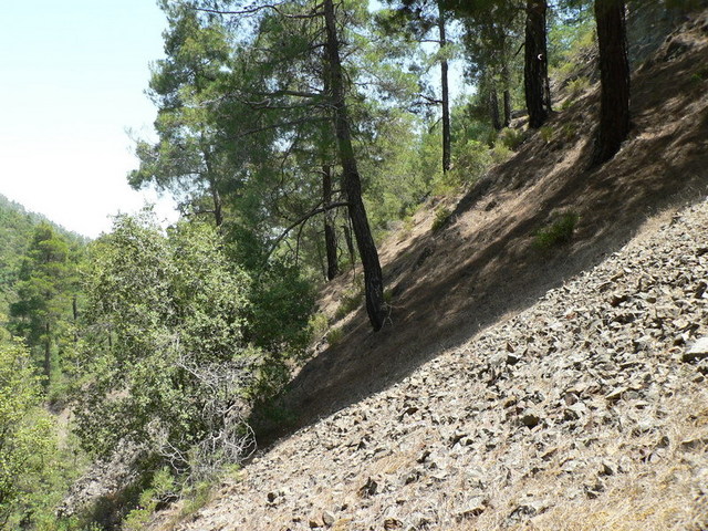 The area in my left 190 meter from the confluence - with rocks... :-(
