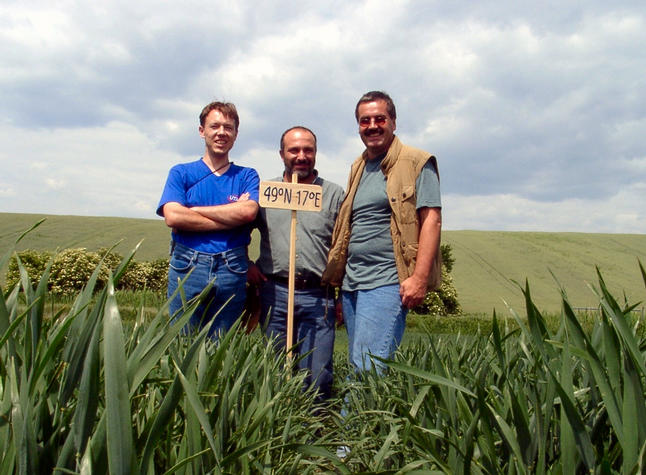 Martin, Klaus & Hans in the middle of a wheat field