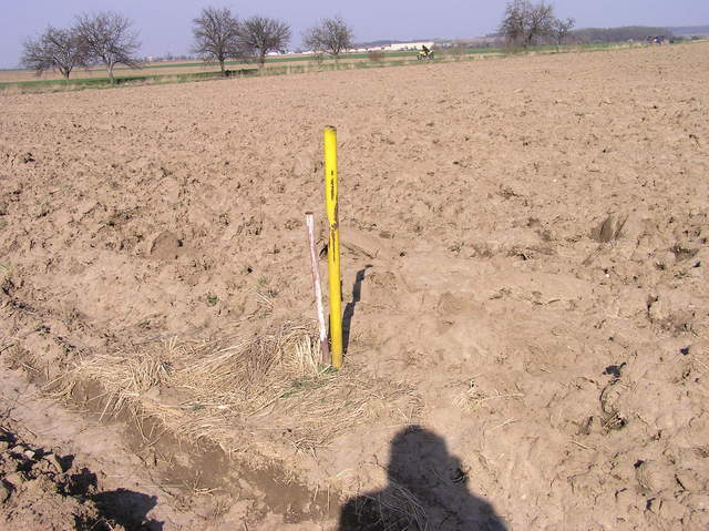 These poles appear to mark the confluence point, although nothing is written on them
