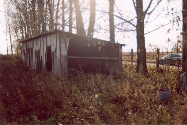 The old shed
