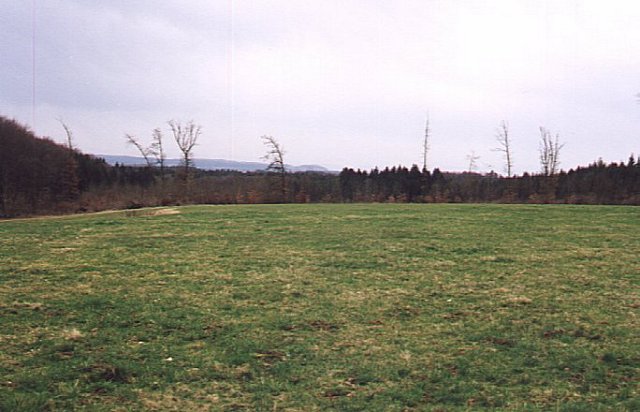 Looking east, with hills in the distance