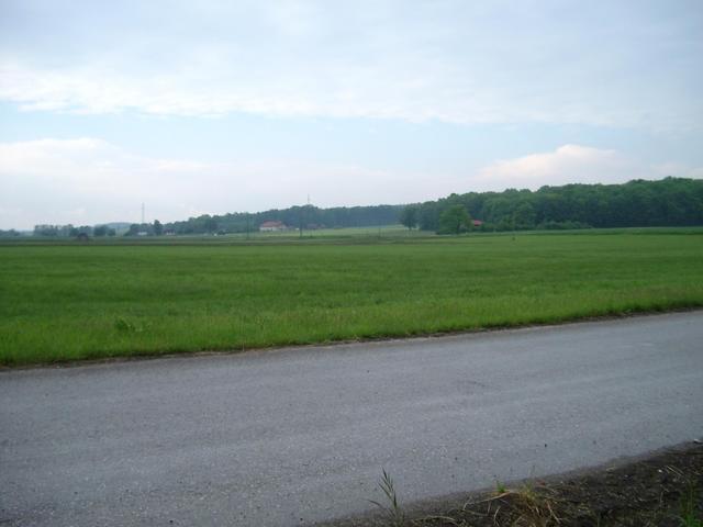 North from CP towards Straußdorf