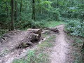 #3: Downhill bike path with a jump over a small creek