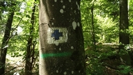 #7: Trail sign