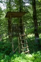#8: A hunting blind, 140 m from the point