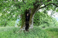 #8: Mensch im Baum drin