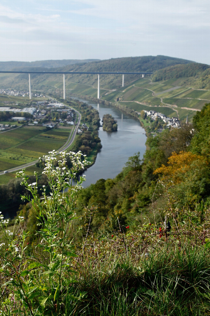 View from the above mentioned parking site over Moselle valley with High Moselle Bridge