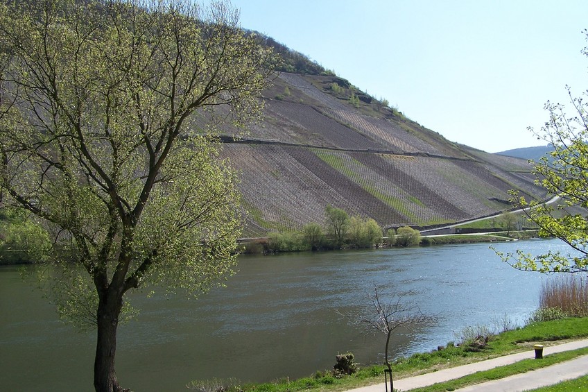 The Moselle river