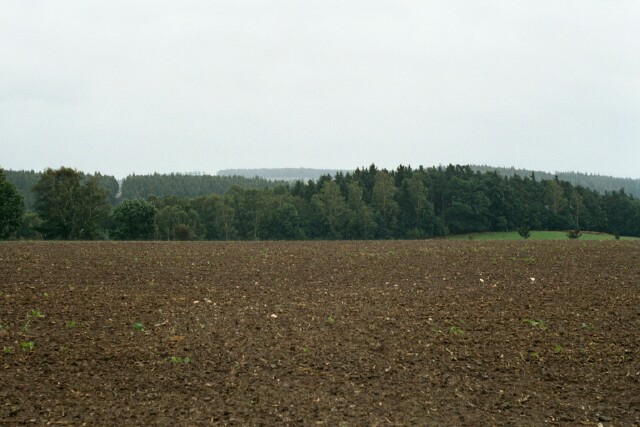 View to east
