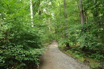 #1: The confleunce area with a hiking trail leading to the CP