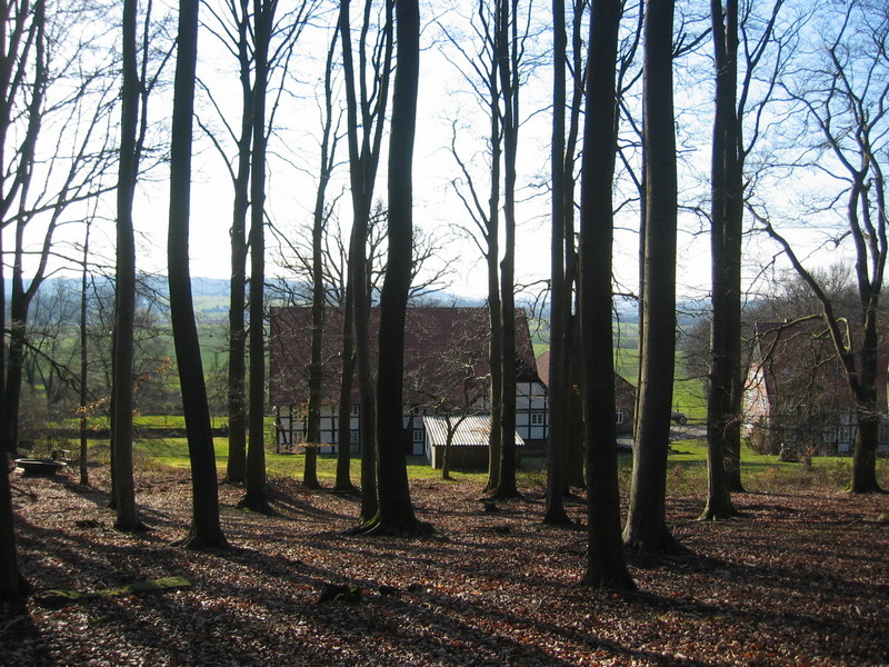 Nearby Forest; Village Hagendonop in the Background