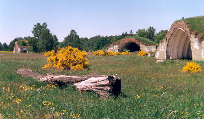Some beautiful flowering aircraft shelter near airfield