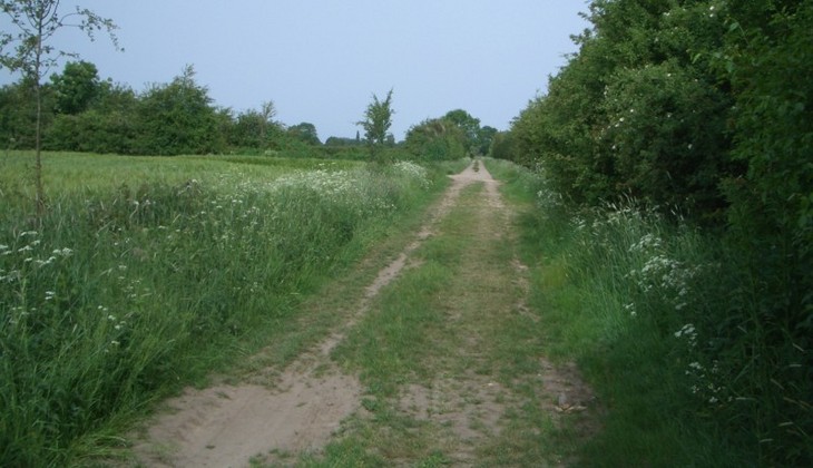The dirt path