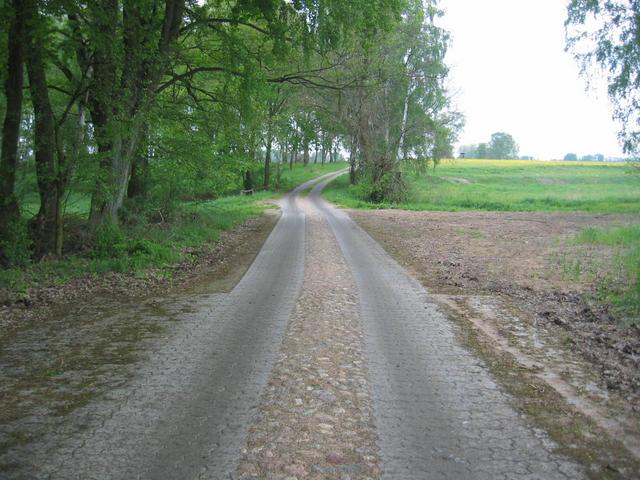 The road to the CP (about 150 m away)