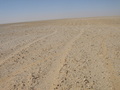#6: Old camel tracks on the gravel