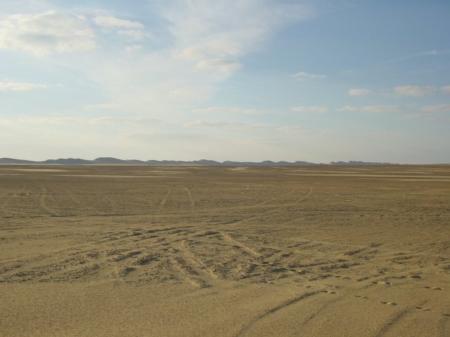 Sand Plain Discovered!