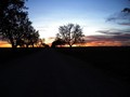 #5: Sunset while leaving the area