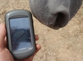 #6: GPS Reading with Horse